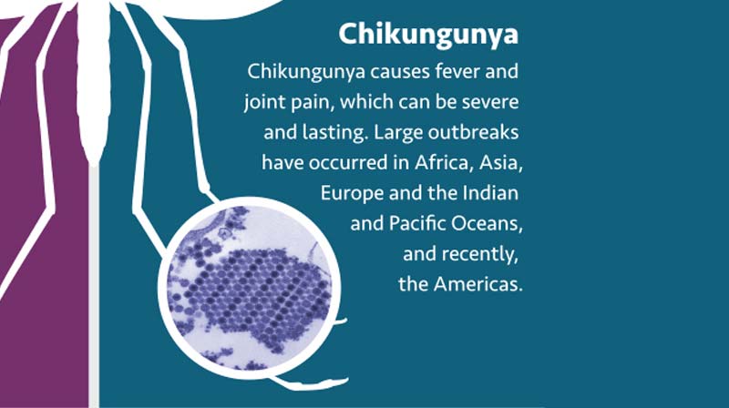 楊浩康(Yeung Ho Hong)醫生講解熱疹